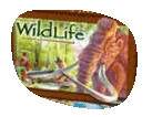 Wild Life - Clementoni