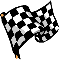 Zielflagge Logo