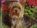 72-B-421-Terrier