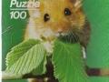75-B-329-Hamster