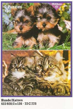 Tiere-Hunde-Katzen-72-C-775