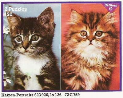 Tiere-Katzen-Portraits-72-C-759