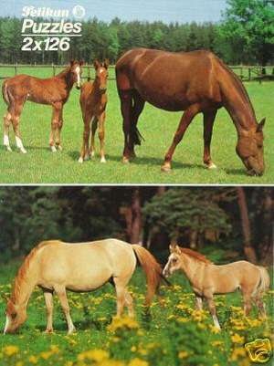 Tiere-Pferde-Familien-76-C-862