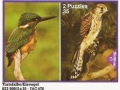 Turmfalke-Eisvogel-74-C-476