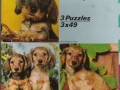 Dackelfreunde-73-B-230