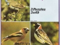 Gefiederte-Freunde-72-B-734