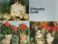 Katzenkinder-72-B-652