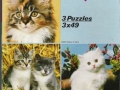 Katzenkinder-73-B-222