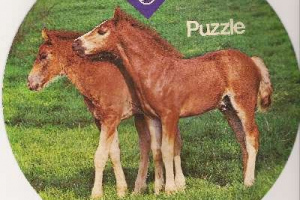 Pelikan Puzzle