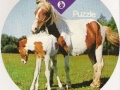 Ponies-76-A-148