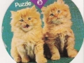 Schmusekatzen-74-B-262