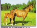 Hannoveraner-Stute-mit-Fohlen-74-C-237