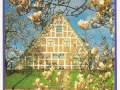 Im-Alten-Land-bei-Hamburg-73-B-412