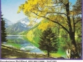 Tannheimer-Tal-Tirol-74-C-252