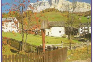 Pelikan - Puzzle - Landschaft - 2000 Teile