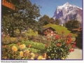 Wetterhorn-Grindelwald-Schweiz-72-C-999