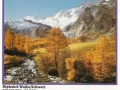 Alphubel-Wallis-Schweiz-72-C-874