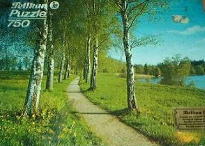 Birkenweg