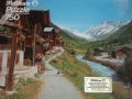 Loetschental-Wallis-76-C-979