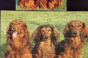 Pelikan - Puzzle - Mini Tiere - Ohne Motive