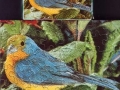 Vogel