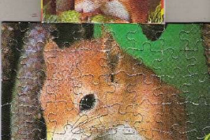 Pelikan - Puzzle - Mini Tiere - Serie 10