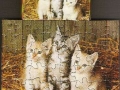 1-Katzen