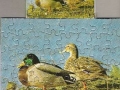 2-Enten