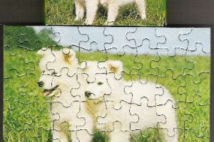 Pelikan - Puzzle - Mini Tiere - Serie 13
