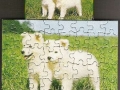 3-Hunde