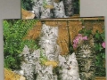 5-Katzen