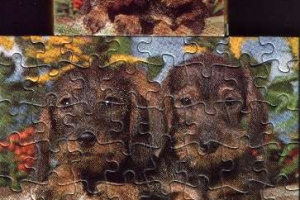 Pelikan Puzzle Mini Tiere