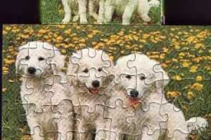 Pelikan - Puzzle - Mini Tiere - Serie 5