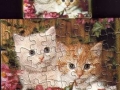 4-Katze