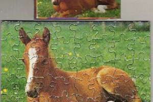 Pelikan - Puzzle - Mini Tiere - Serie 6