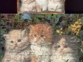 1-Katzen