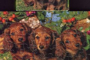 Pelikan - Puzzle - Mini Tiere - Serie 7