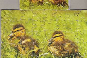 Pelikan - Puzzle - Mini Tiere - Serie 8
