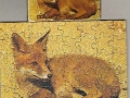 2-Fuchs