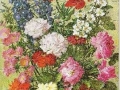 Blumen-1