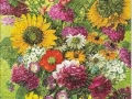 Blumen-3