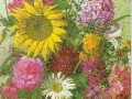 Blumen-4