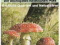 Pilze-Die-wichtigsten-heimischen-Pilze-75-B-857