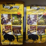 FamilySport Family PingPong